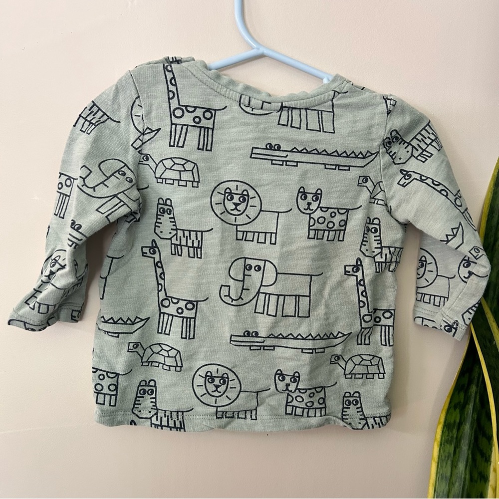 Seed Heritage Boy 6-12‎ months light Sage Sweatshirt. - Picture 2 of 6